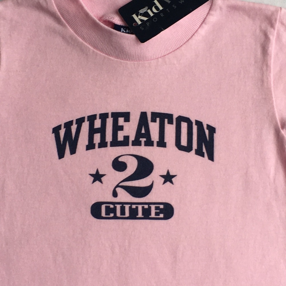 Wheaton College outfit 6 months NET pink romper